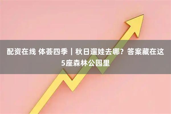 配资在线 体荟四季｜秋日遛娃去哪？答案藏在这5座森林公园里